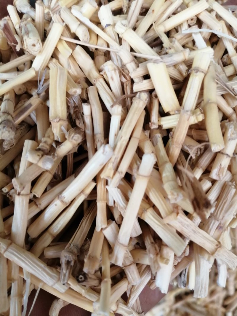 白茅根，货干色白，干净无杂质，大量现货供应
