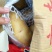 荷兰十五土豆黄皮黄心一手货源基地直发价格低可视频看货