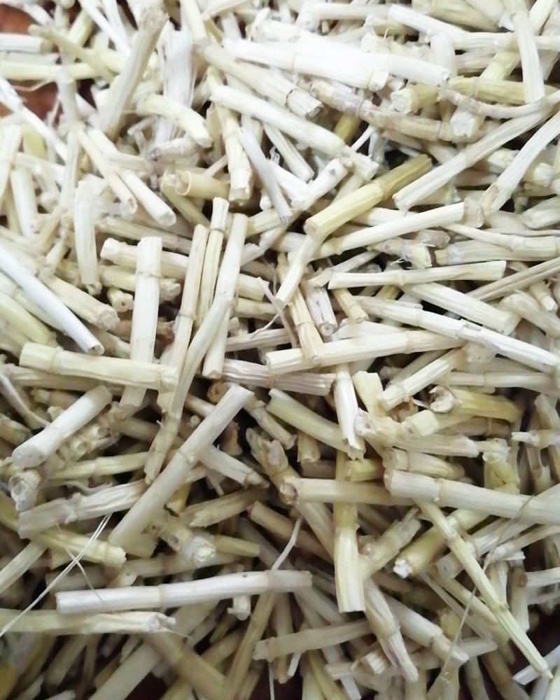 白茅根，货干色白，干净无杂质，大量现货供应