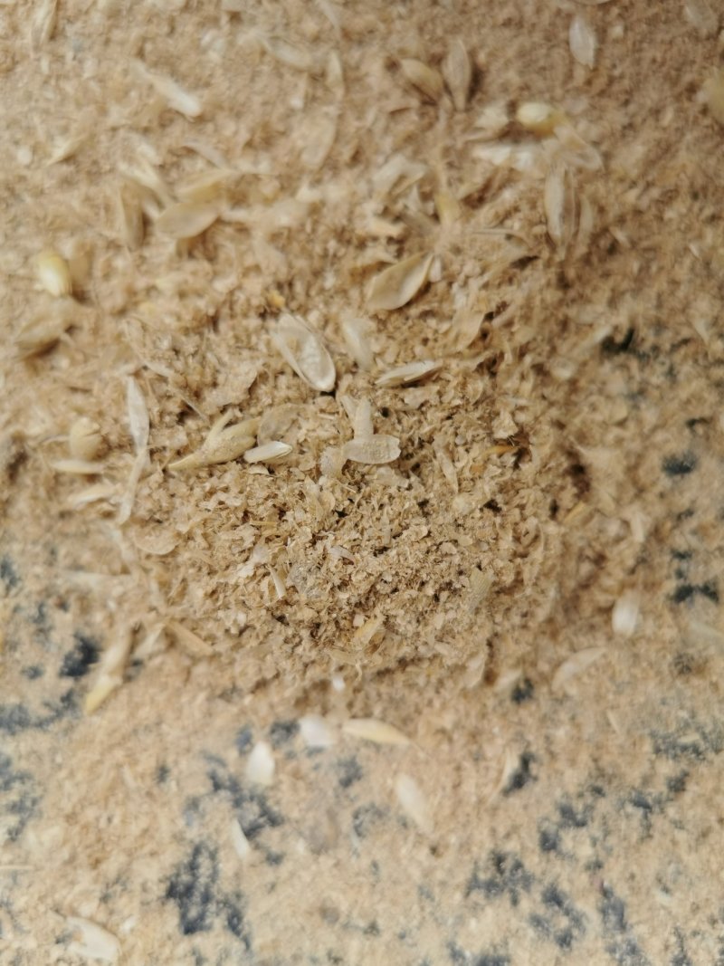 麦毛