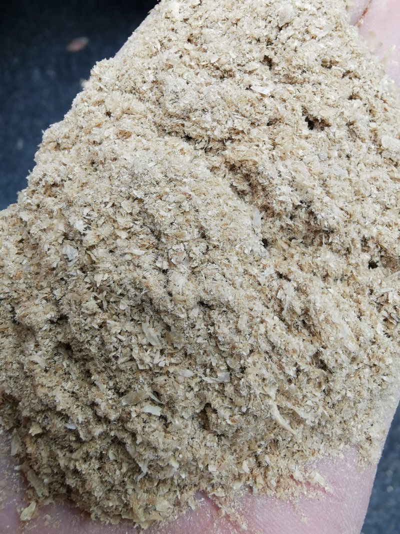 麦毛