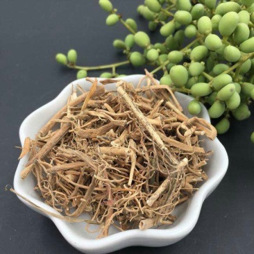 中药材白前白前根水杨柳鹅白前草白前白马虎