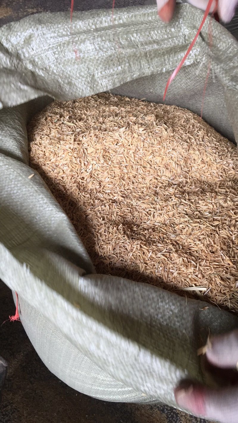 杭州市区，圆稻壳，袋装不压缩，干净稻壳。长期出售。