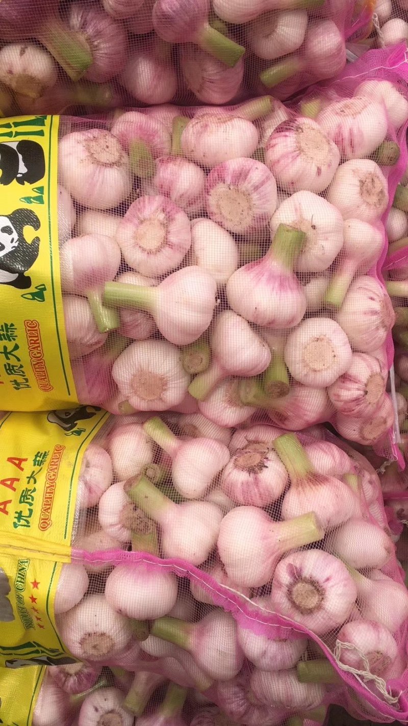 鲜蒜扒皮蒜，光蒜(净蒜，过筛精选)！