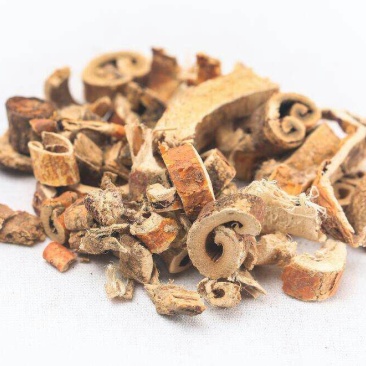中药材新货野生老桑树根皮桑白皮干