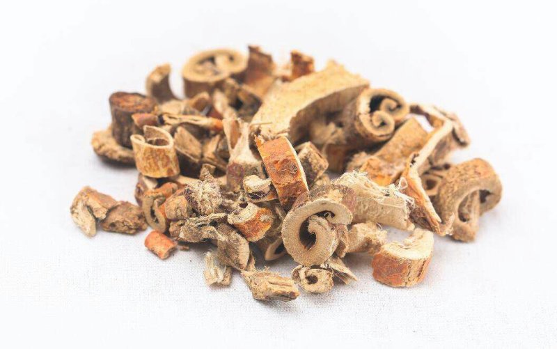 中药材新货野生老桑树根皮桑白皮干