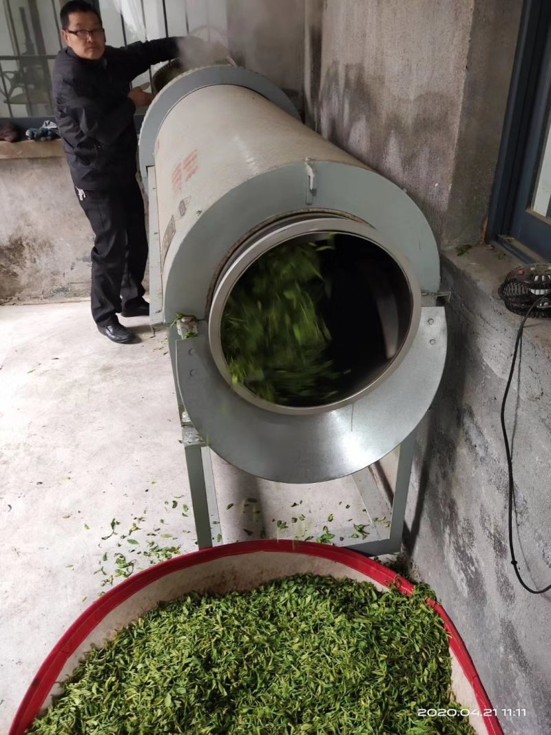 高山白茶香茶，烘青，批发零售，量大优惠。