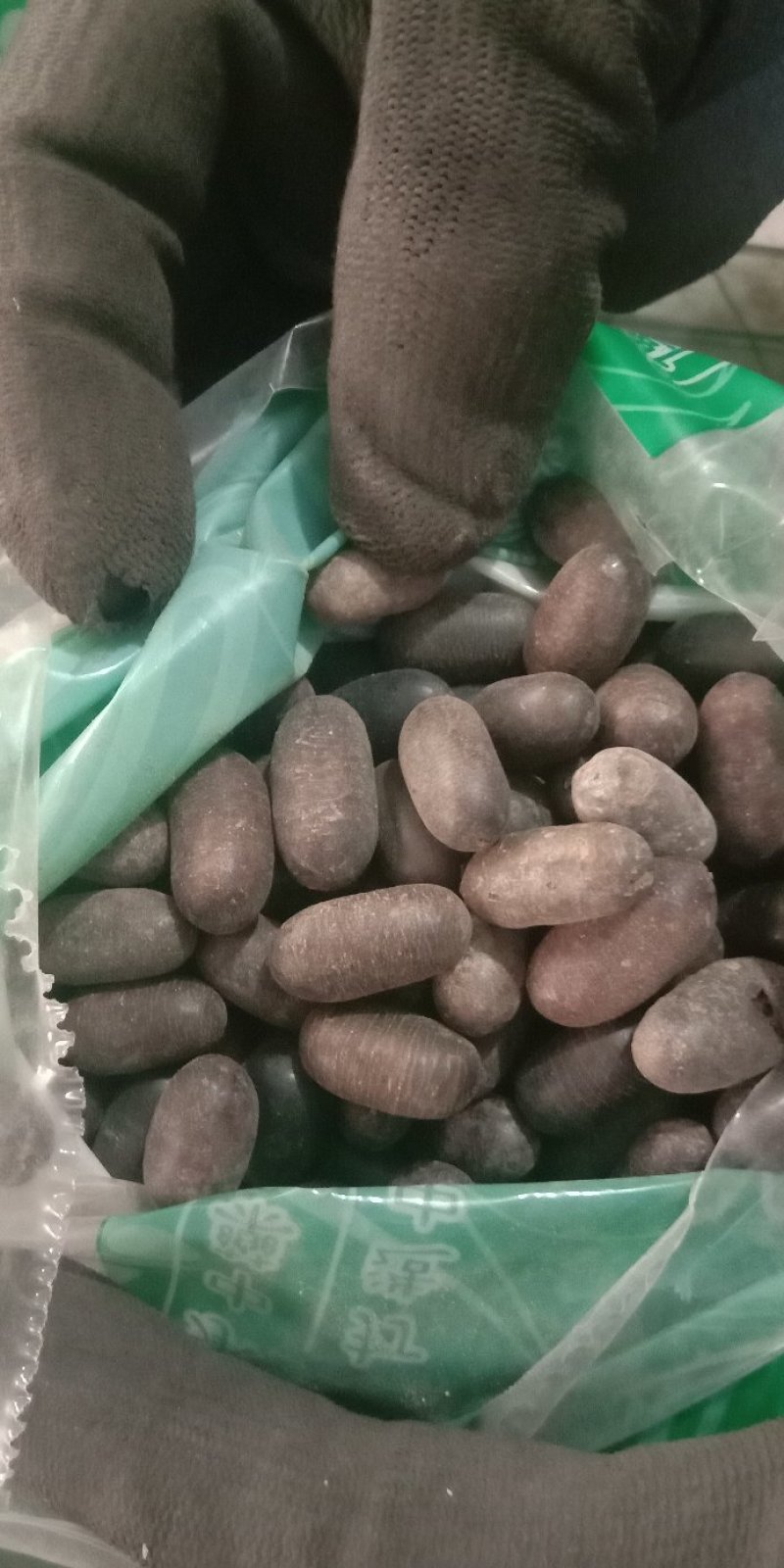 石莲子各种中药材泡酒料