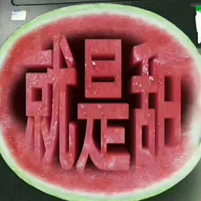 四川无籽美都8424大棚西瓜8斤起装八成五到九成熟