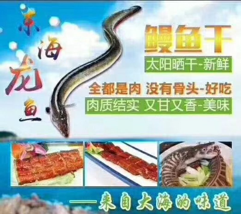 鳗鱼干深海鳗鱼干九成干下单送广告布录音