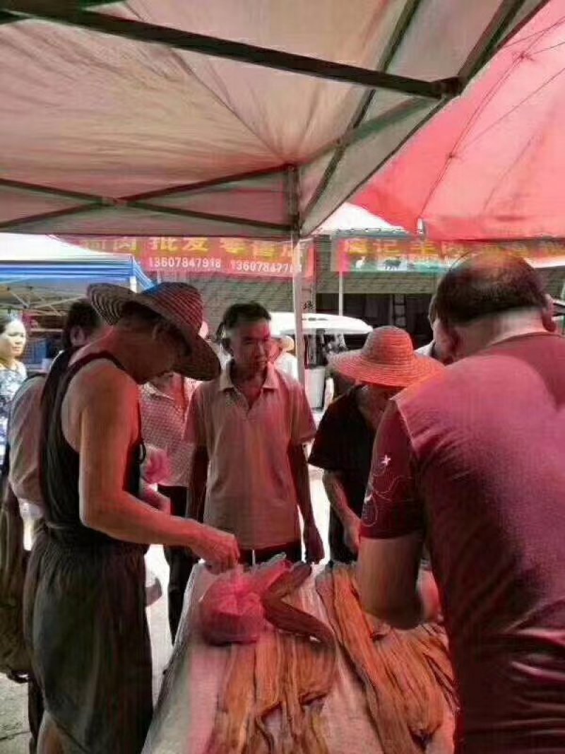 鳗鱼干深海鳗鱼干九成干下单送广告布录音