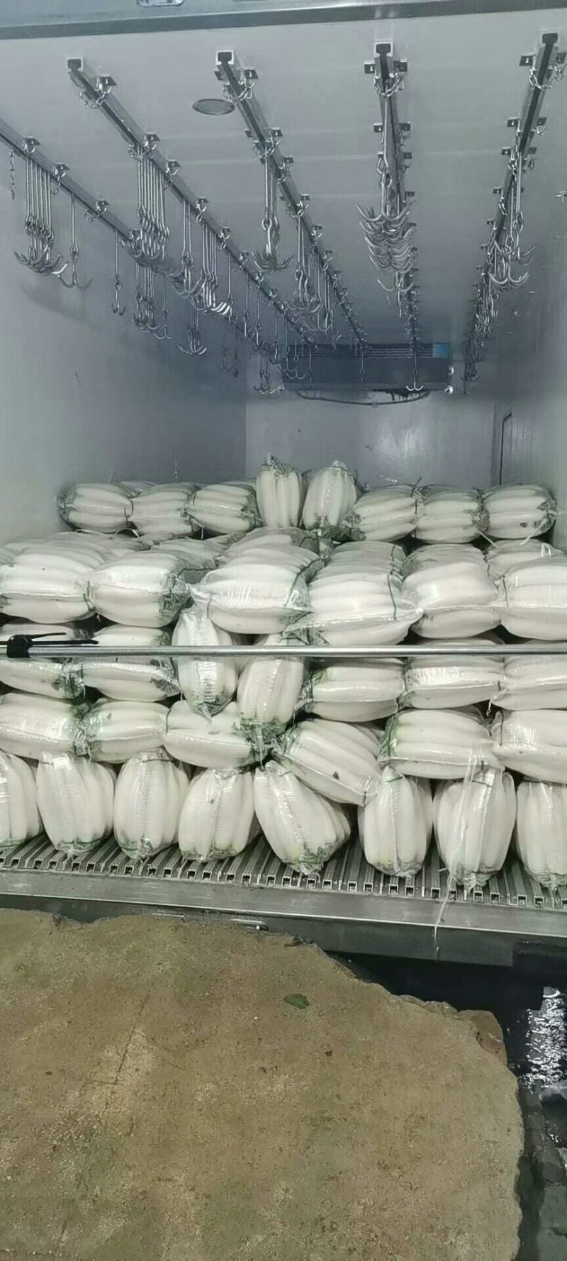 白萝卜打包清洗看货论价全国发货保质保量供货稳定