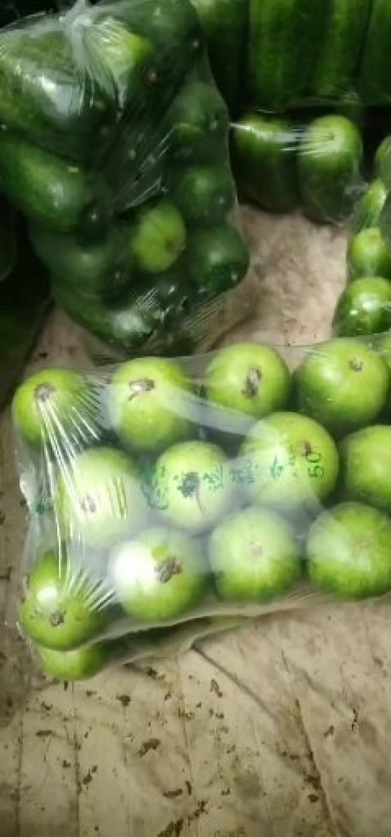 山东一串铃冬瓜大量上市价格便宜