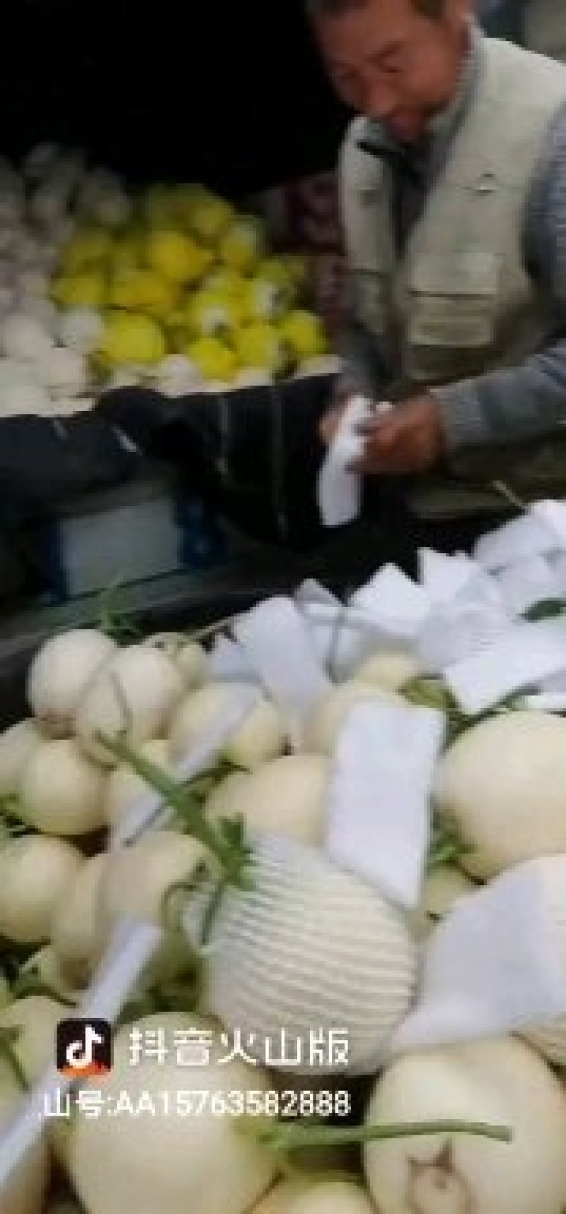 供应莘县红肉脆梨洋香瓜