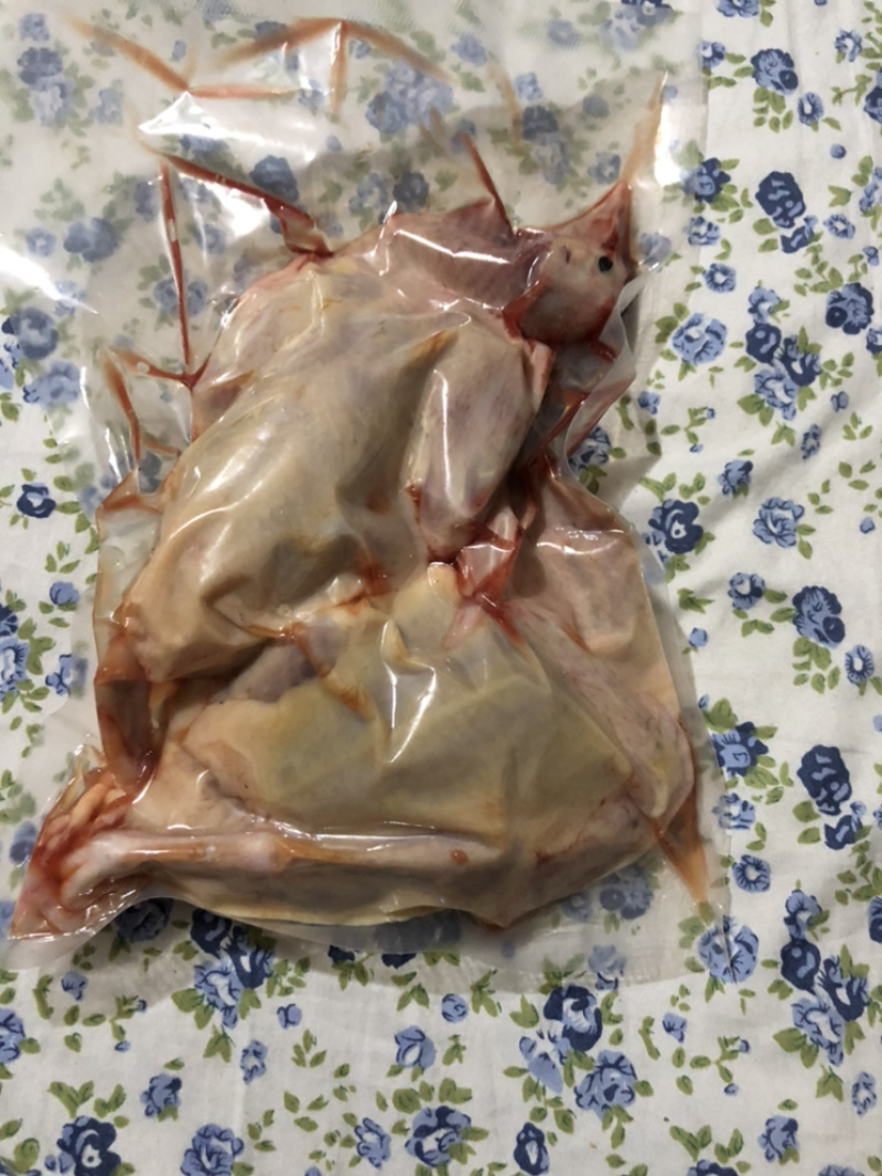 【咨询有惊喜】现杀乳鸽，一键代发，价格实惠