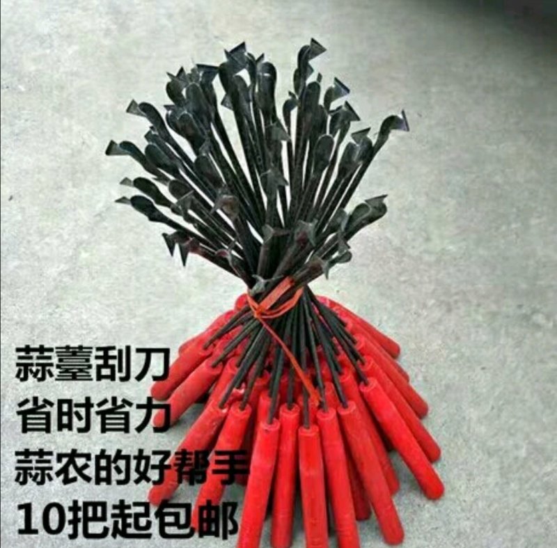 蒜薹专用工具，蒜薹刀，蒜薹抽拔器