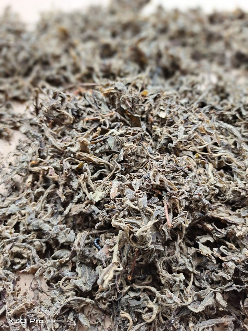 老鹰茶叶重庆特产，需要的直接联系，基地直销，欢迎实地看货