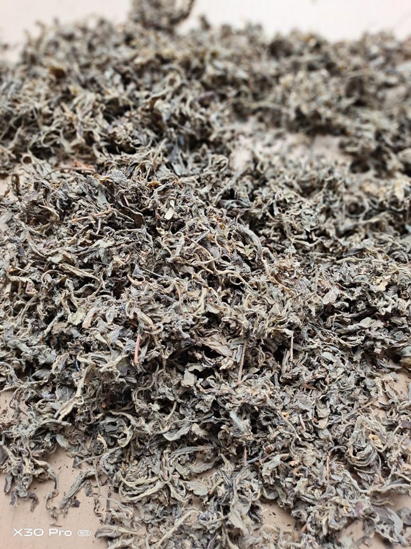 老鹰茶叶重庆特产，需要的直接联系，基地直销，欢迎实地看货
