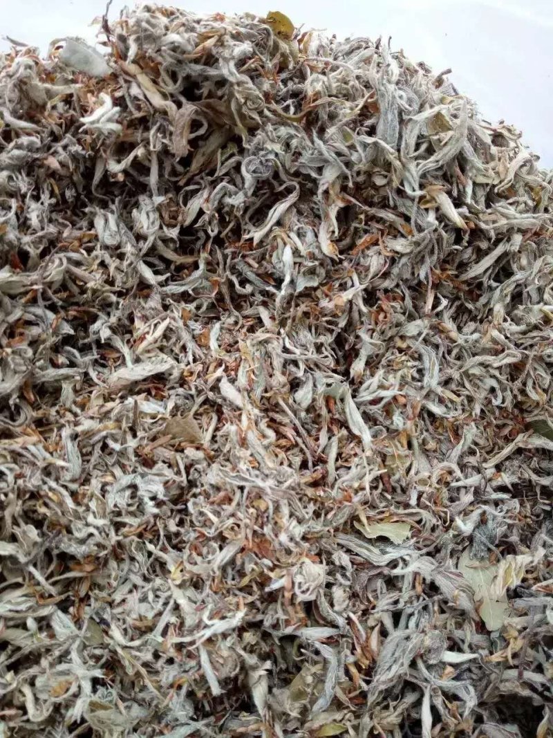 老鹰茶叶重庆特产，需要的直接联系，基地直销，欢迎实地看货