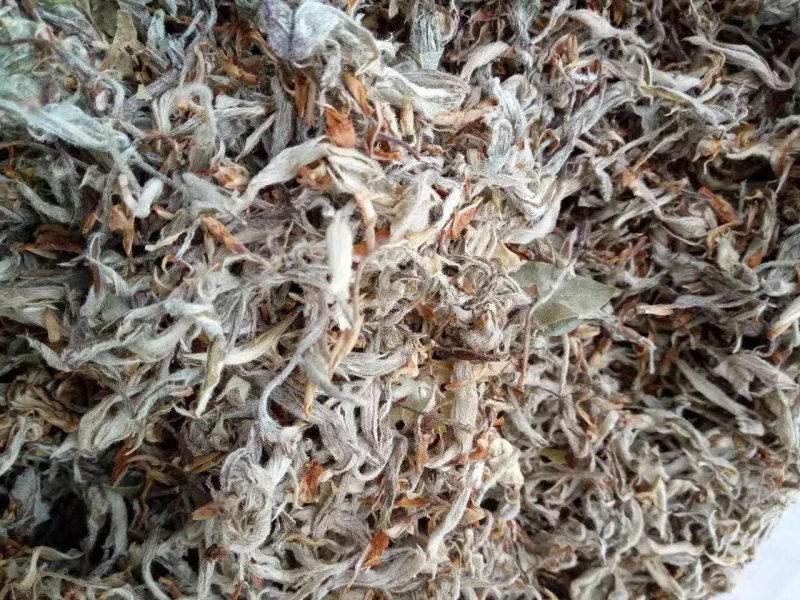老鹰茶叶重庆特产，需要的直接联系，基地直销，欢迎实地看货