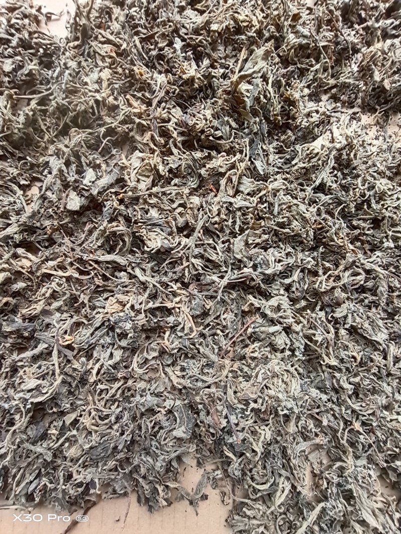 老鹰茶叶重庆特产，需要的直接联系，基地直销，欢迎实地看货
