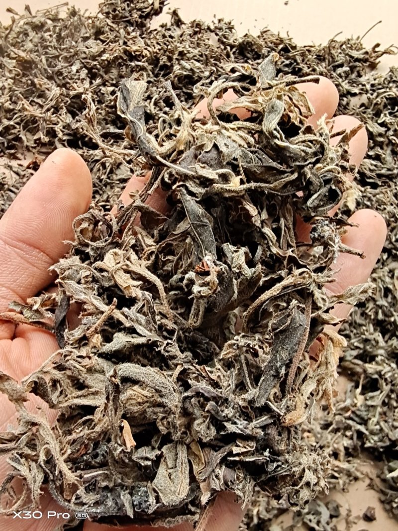 老鹰茶叶重庆特产，需要的直接联系，基地直销，欢迎实地看货