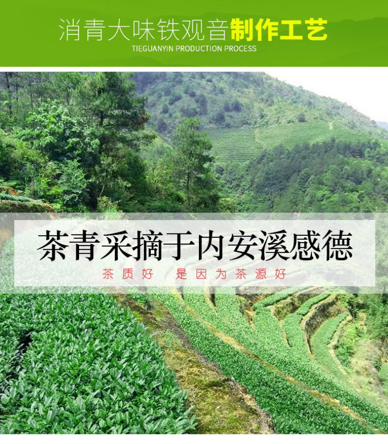 2021新茶上市铁观音福建安溪感德原产地500g