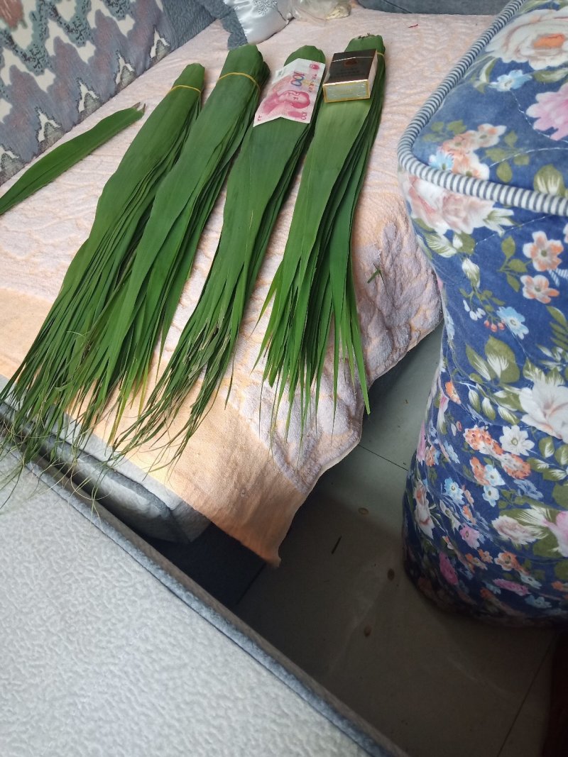 洞庭湖边的香粽叶，又宽又长。