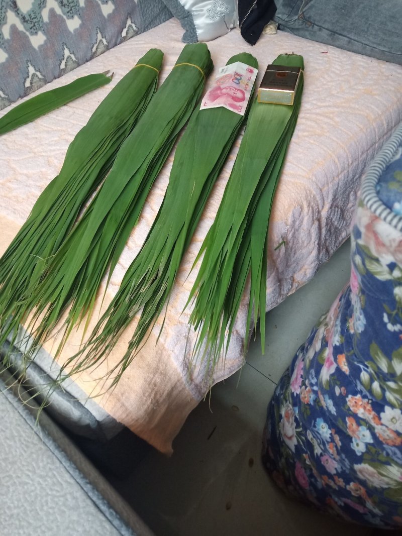 洞庭湖边的香粽叶，又宽又长。