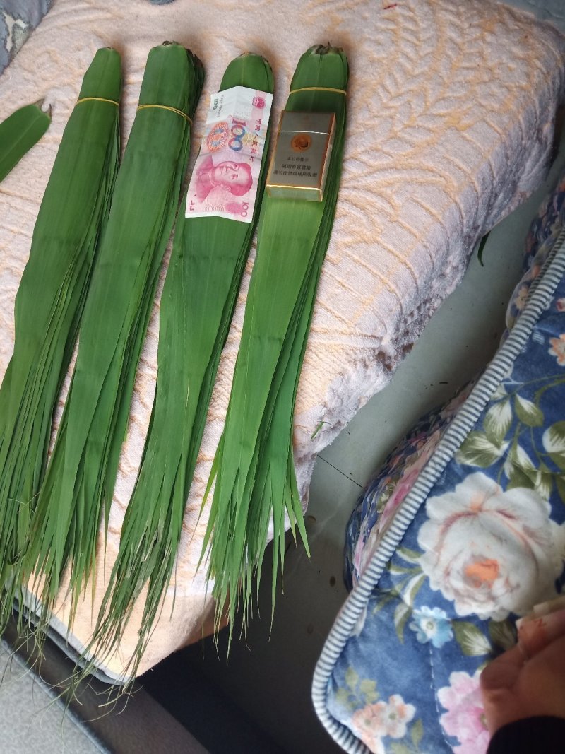 洞庭湖边的香粽叶，又宽又长。