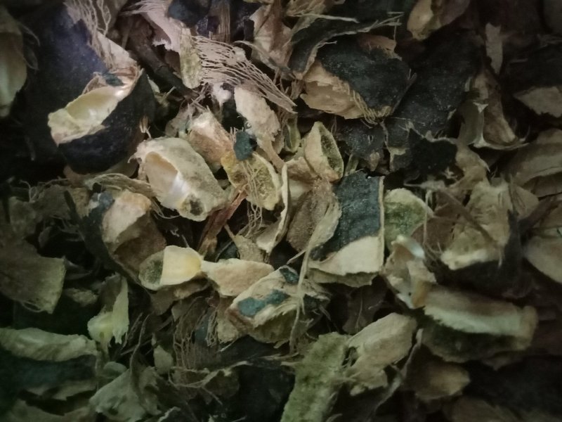 皂角壳