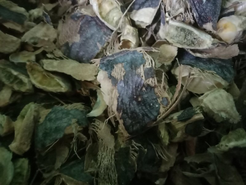 皂角壳