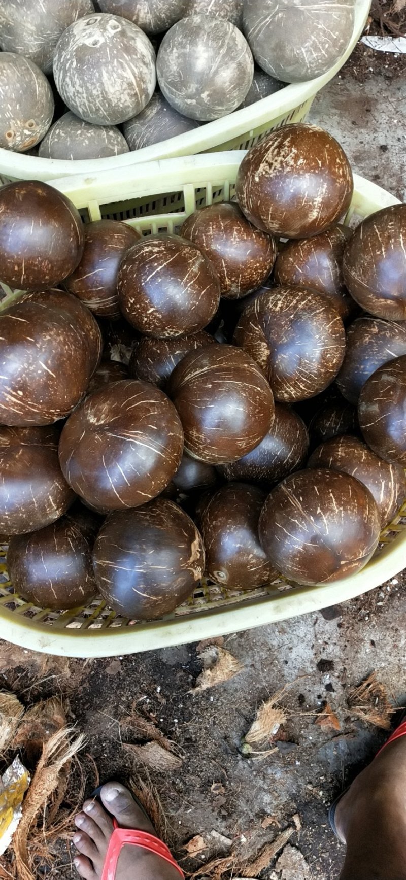 海南，越南椰皇，椰王，炖盅，椰子碗，厂家直销