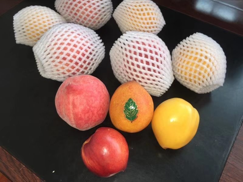水果网套