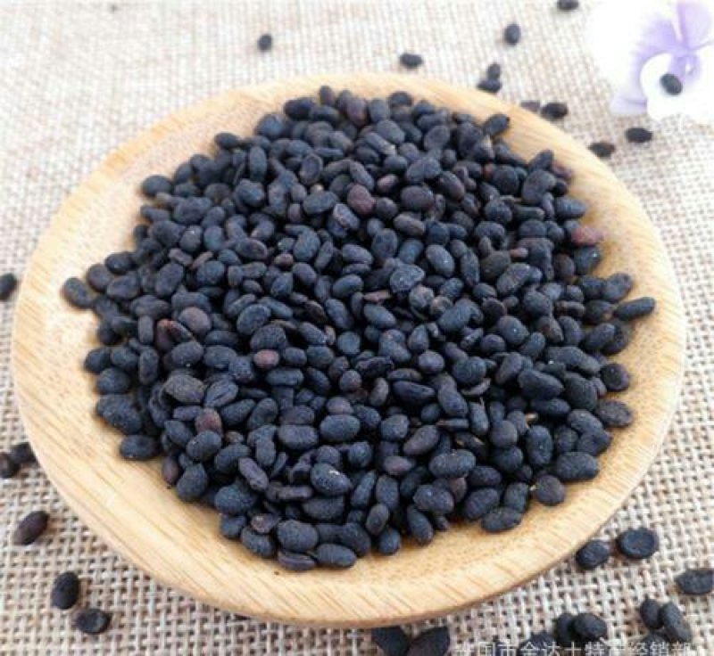 补骨脂，常年批发供应冷背中药材，补骨脂