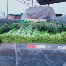 蒜苔下来了