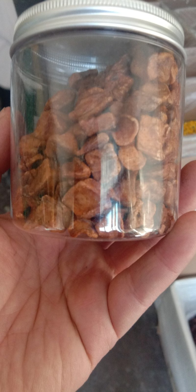 菊苣根菊苣根菊苣根玉兰菊苣根菊苣根