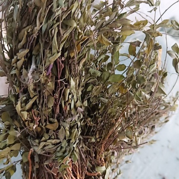瓜子金，地道中药材！自然阴干质量保证