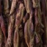 烟熏偏肥腊肉(厂家直供每天能供应30吨。支持一件代发