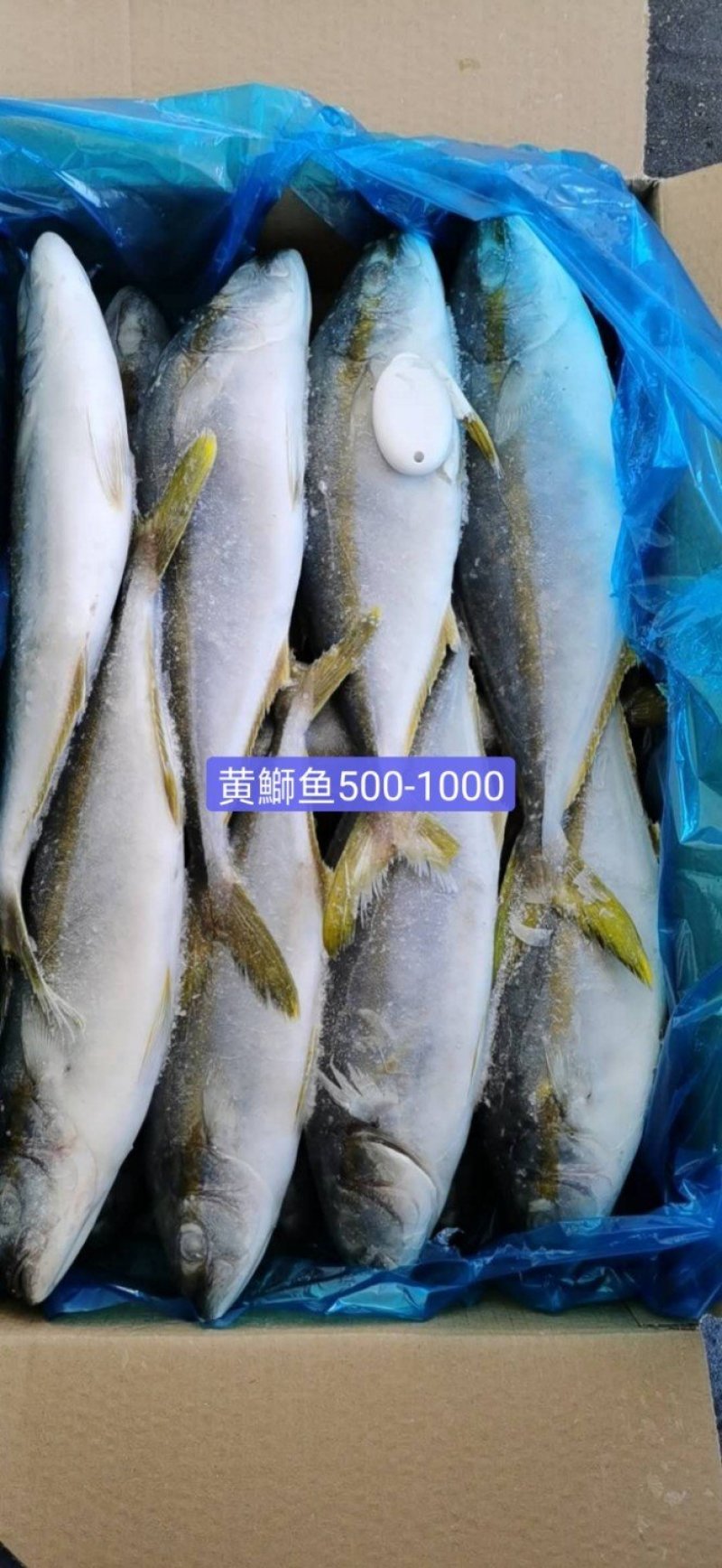 水产