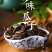 忆晶焦糖瓜子山核桃多口味五香原味葵花籽批发散装