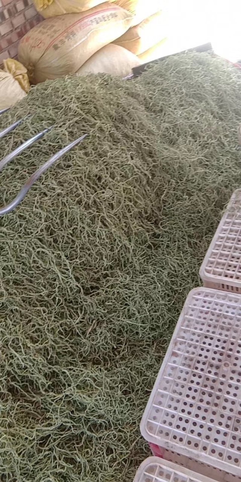 蔚县特产，加工厂直销，各种杏干，杏核，干豆角丝，品质优，