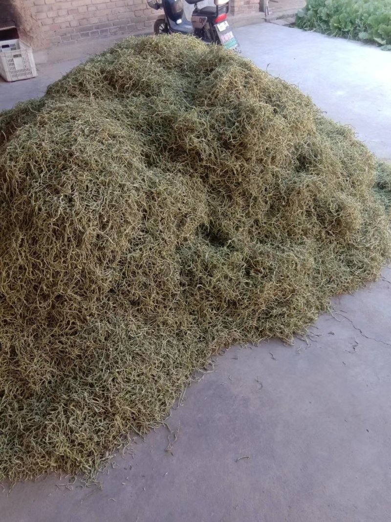 蔚县特产，加工厂直销，各种杏干，杏核，干豆角丝，品质优，