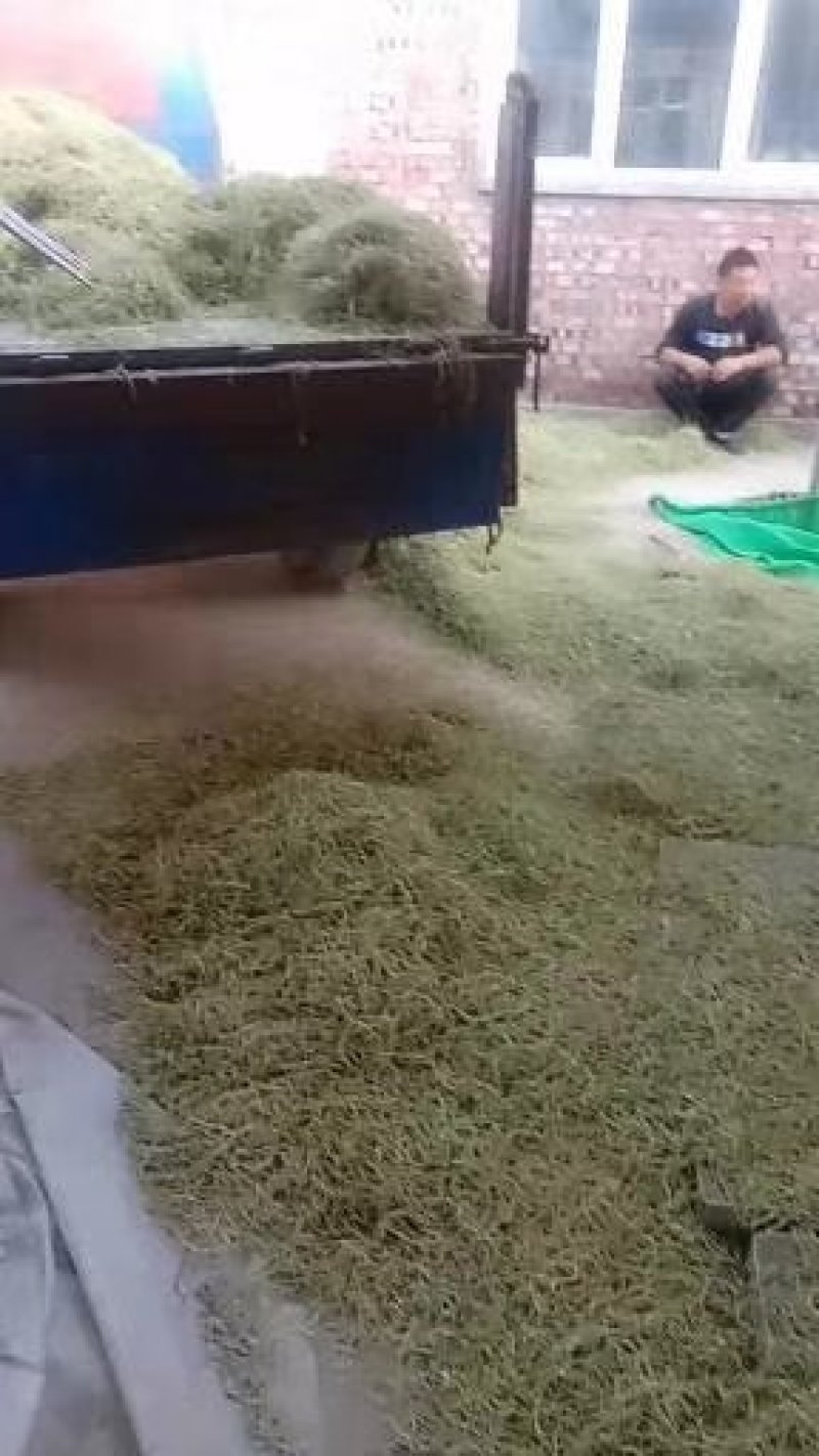 蔚县特产，加工厂直销，各种杏干，杏核，干豆角丝，品质优，