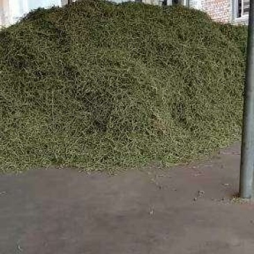 蔚县特产，加工厂直销，各种杏干，杏核，干豆角丝，品质优，