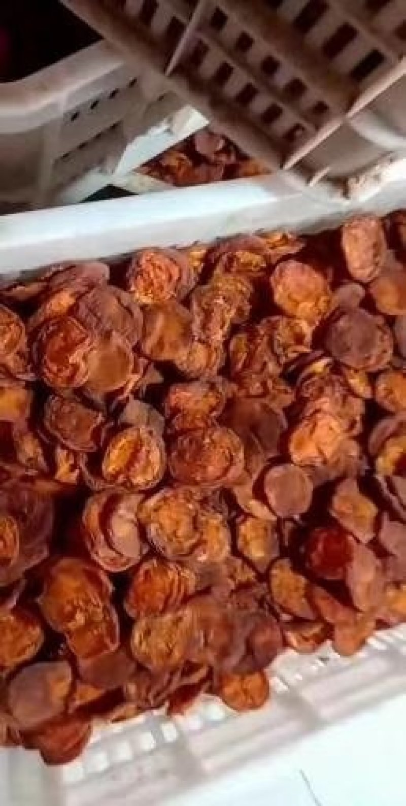 蔚县特产，加工厂直销，各种杏干，杏核，干豆角丝，品质优，