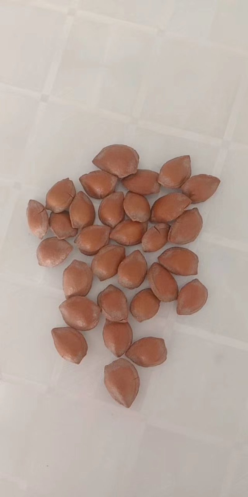蔚县特产，加工厂直销，各种杏干，杏核，干豆角丝，品质优，