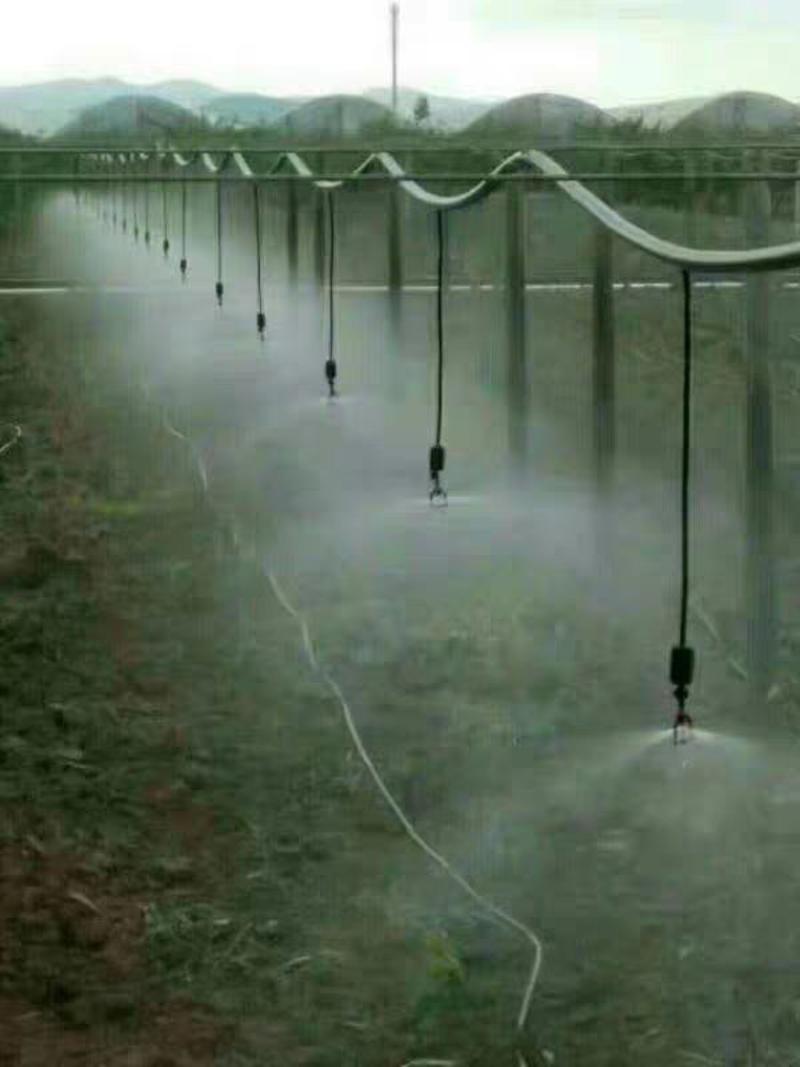 全新大棚微喷灌溉系统旋转自动浇水浇花神器农用喷灌雾化