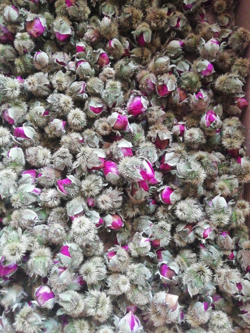 野生刺梨花茶生态绿色茶叶