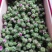 野生刺梨花茶生态绿色茶叶